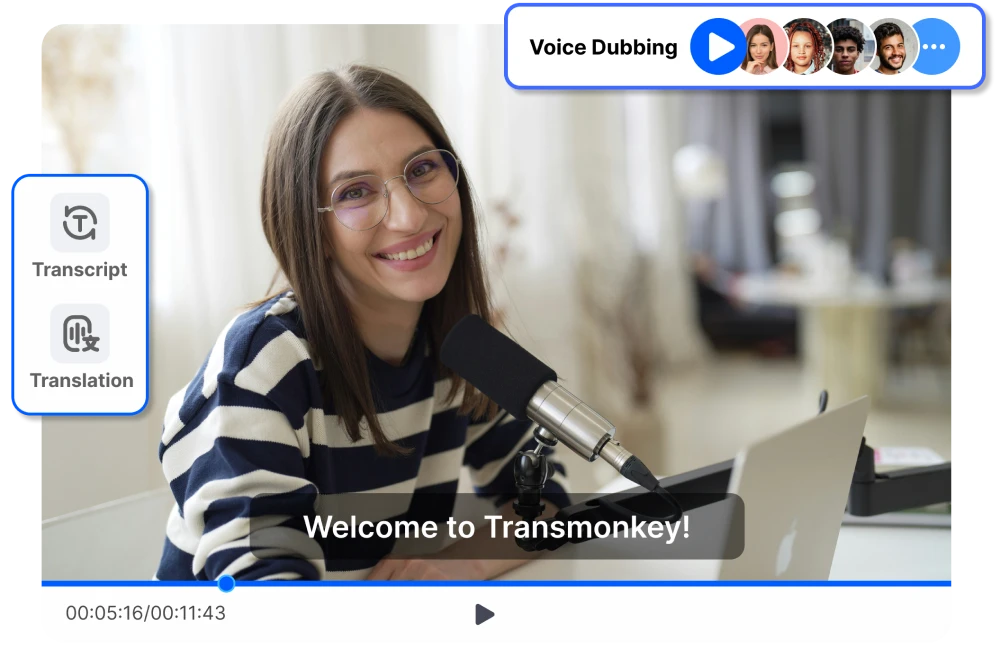 Image showing the function of Transmonkey video translator