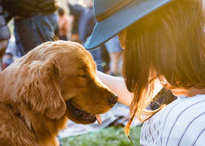 before Remove Animals Background